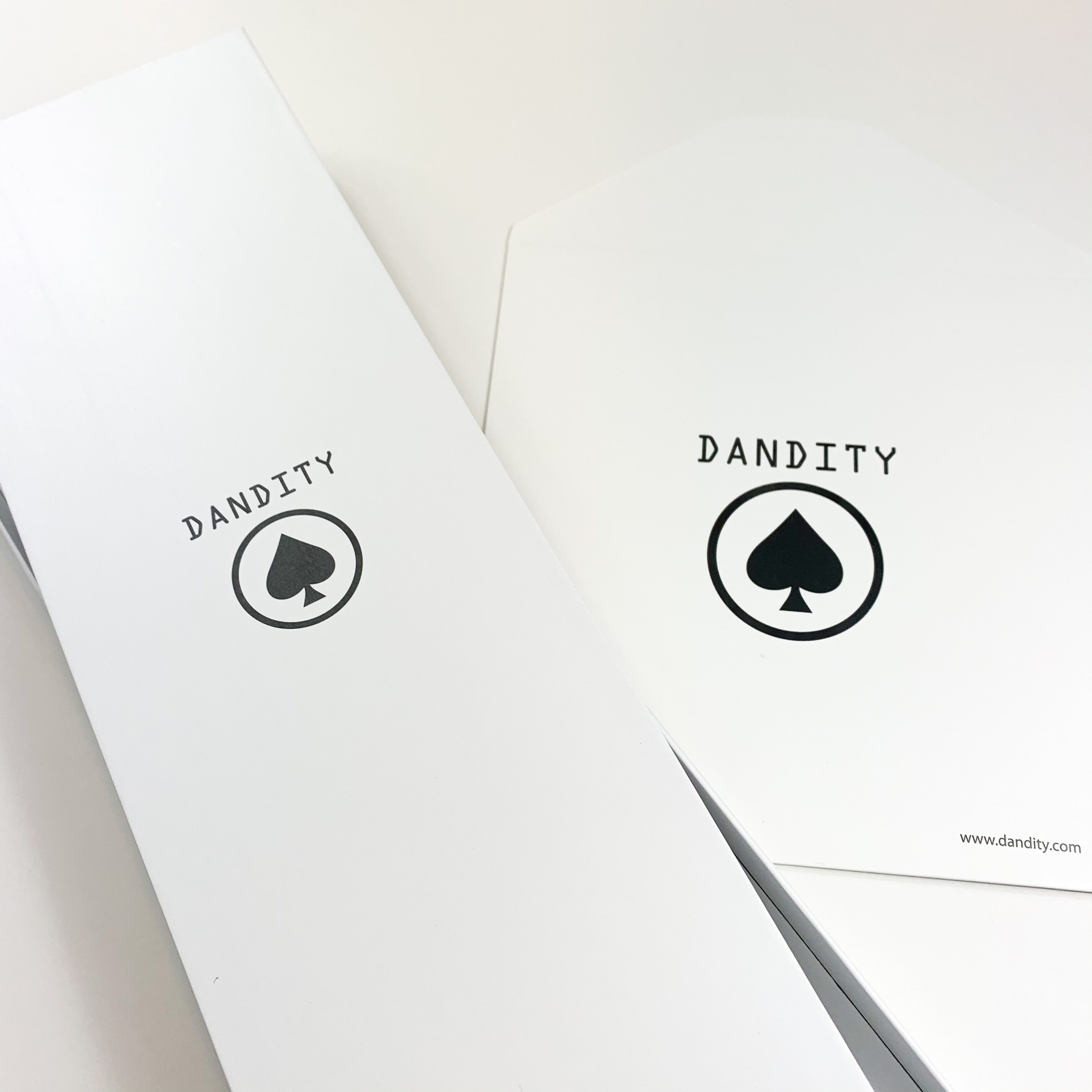 NOVEDADES – DANDITY